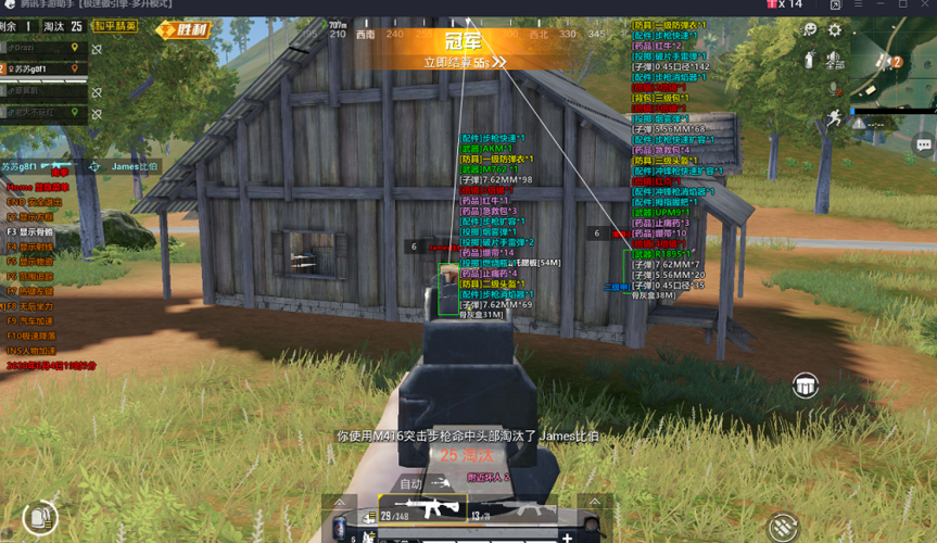 和平精英辅助【COCO】